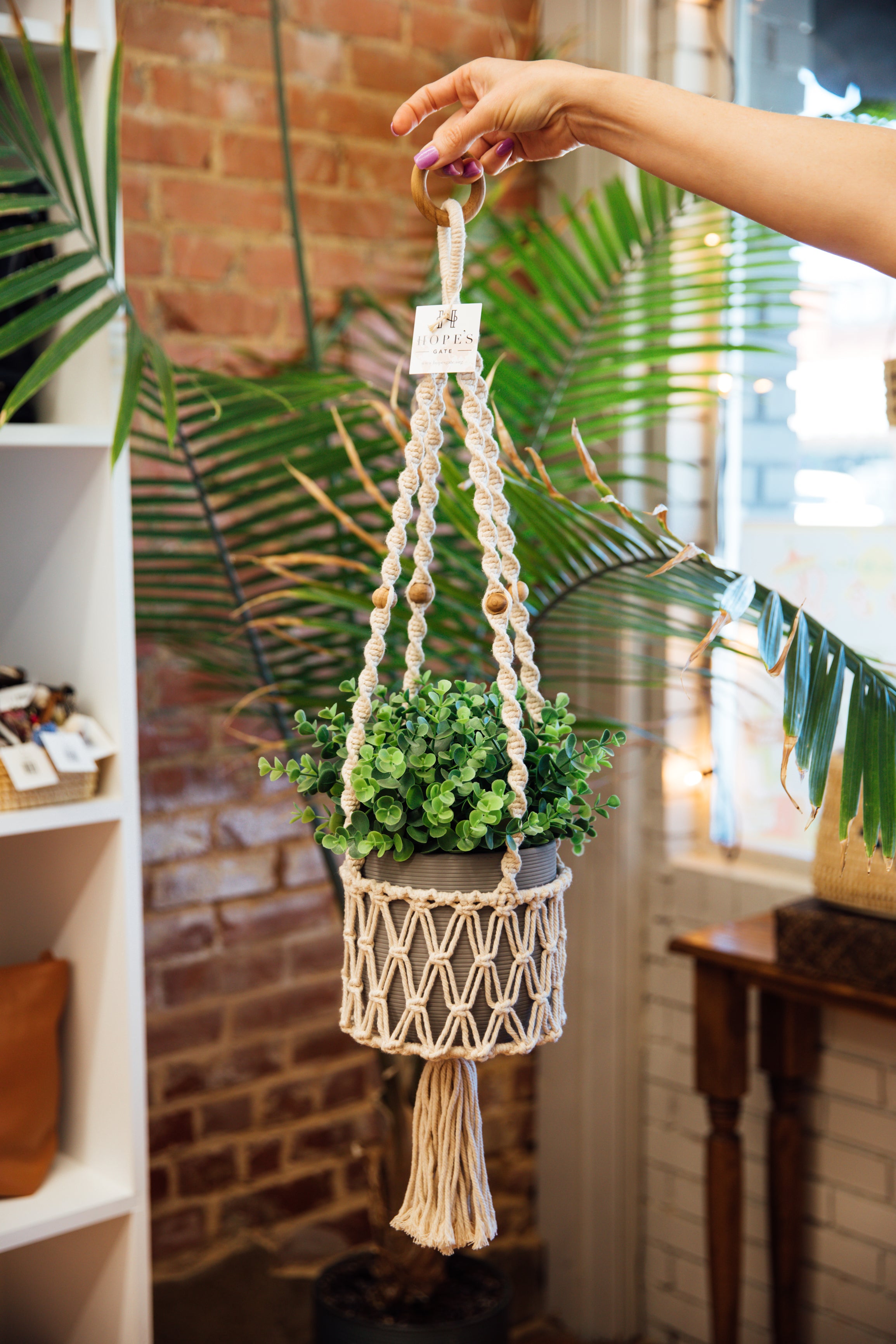 Macramé Plant Hanger – Hope's Gate