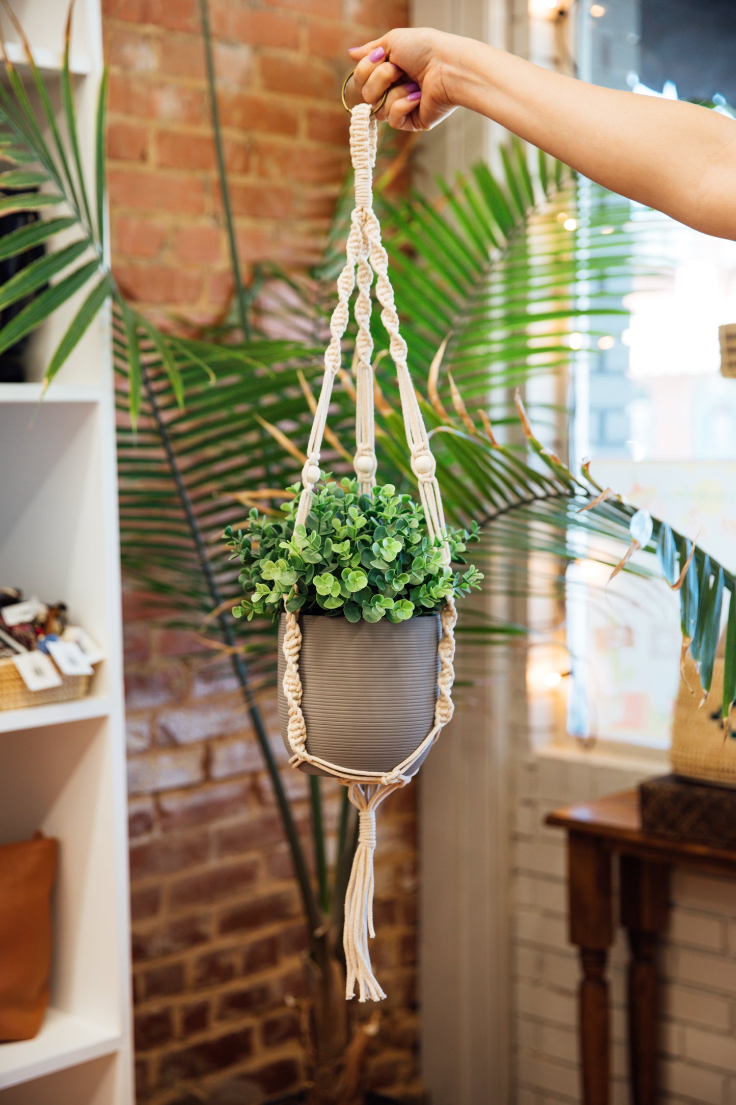 Macramé Plant Hanger