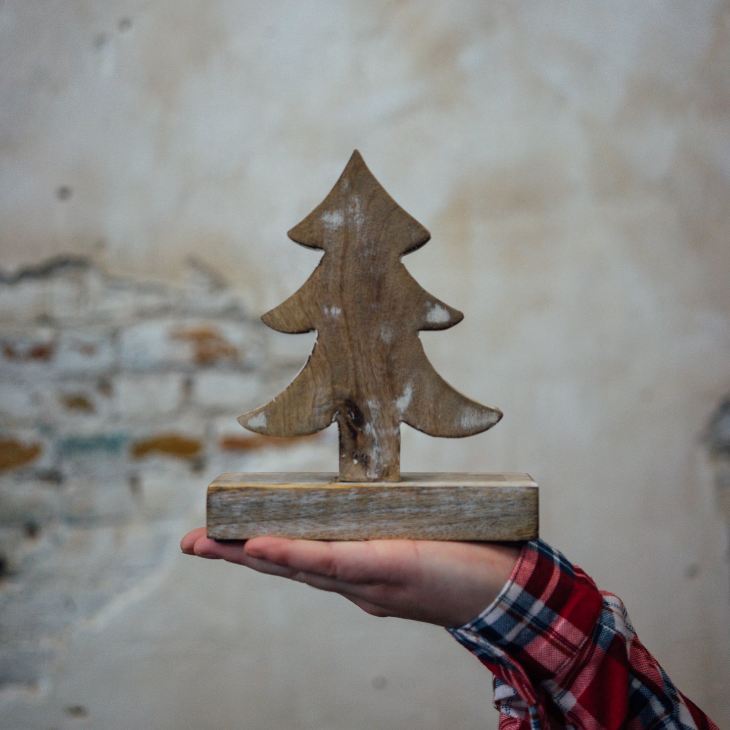 White Wash Wood Tree