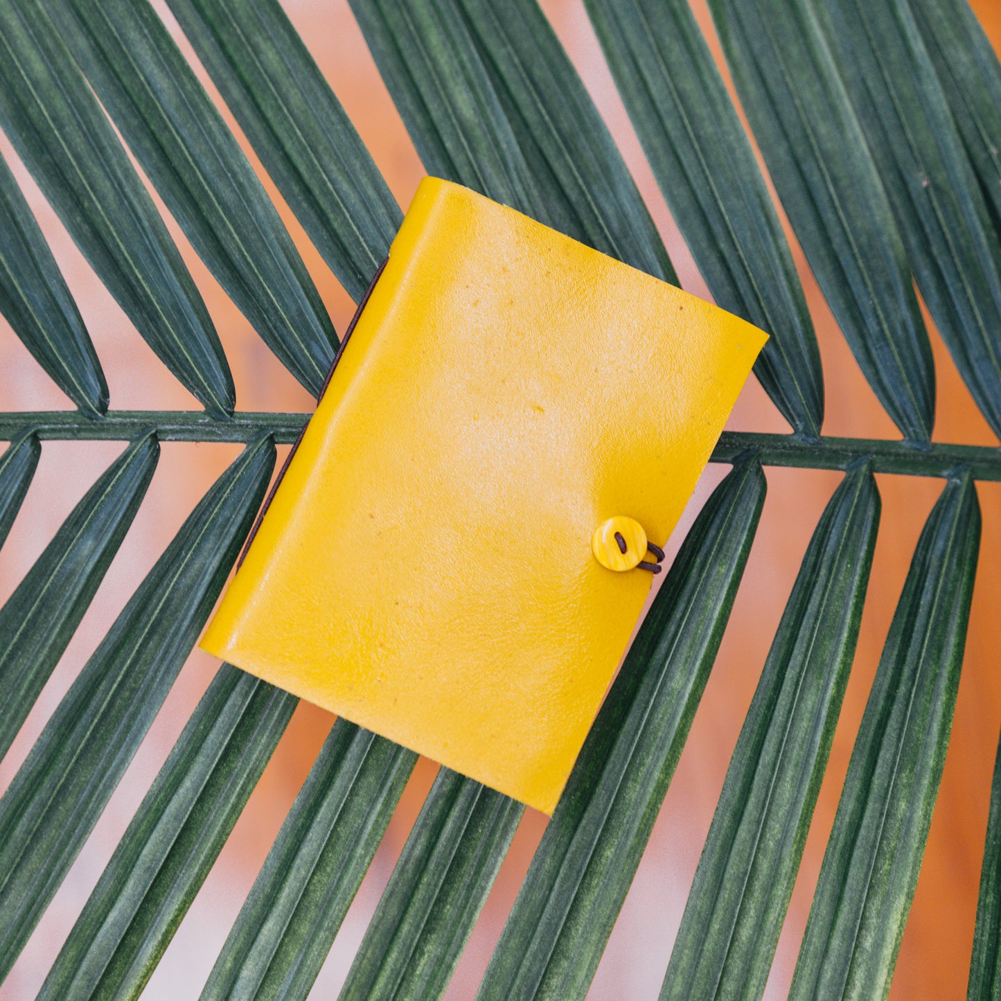 Mini Leather Journals